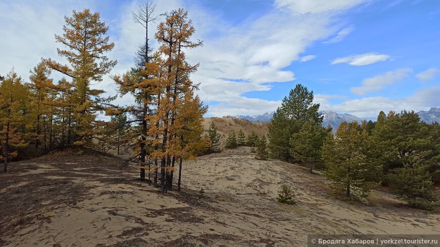 Чарские пески — самая северная пустыня