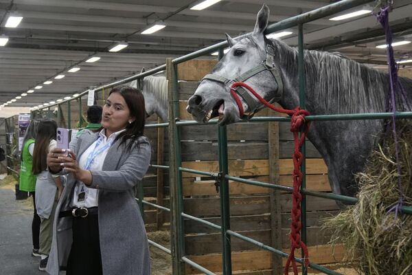 Женщина делает селфи с лошадью на ежегодной сельскохозяйственной ярмарке в Боготе - Sputnik Грузия