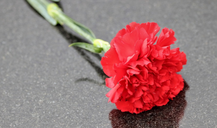 В Северном Бутове прошла мемориальная акция «Мы под Москвой стояли насмерть»