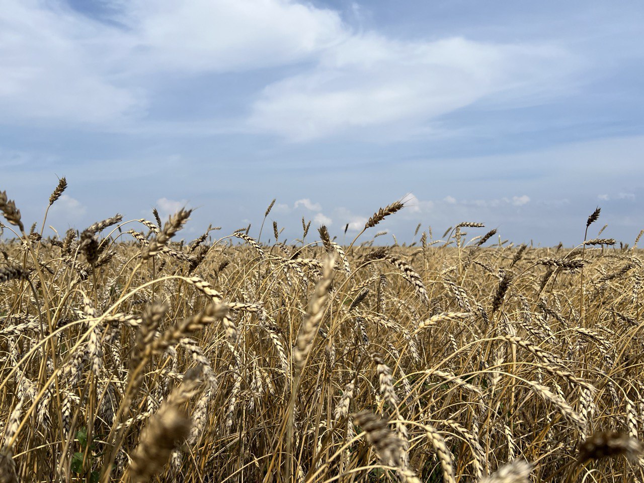 Фото: РБК Татарстан