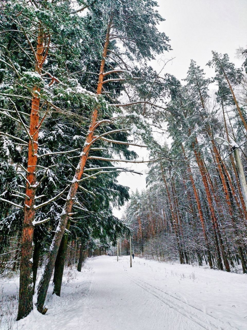 Яхрома ермолино. Зимняя трасса. Зима сейчас. Дмитров зимой. Патриот Дмитров зимой.