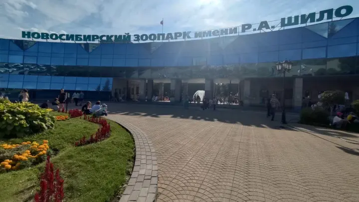 Прокуратура и РКН проверят баннеры с орангутаном ко Дню Победы