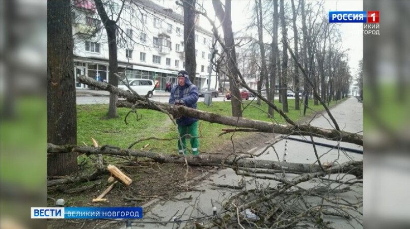 Энергетики и коммунальные службы продолжают ликвидировать последствия циклона в Новгородской области