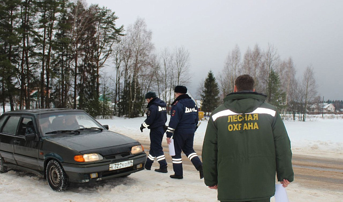 Накануне новогодних праздников в Тверской области усилили охрану хвойных деревьев