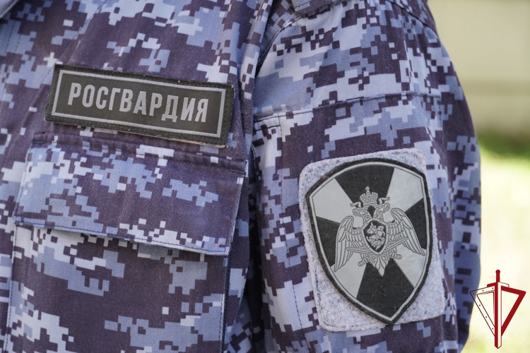 В Пскове росгвардейцы задержали подозреваемую в краже