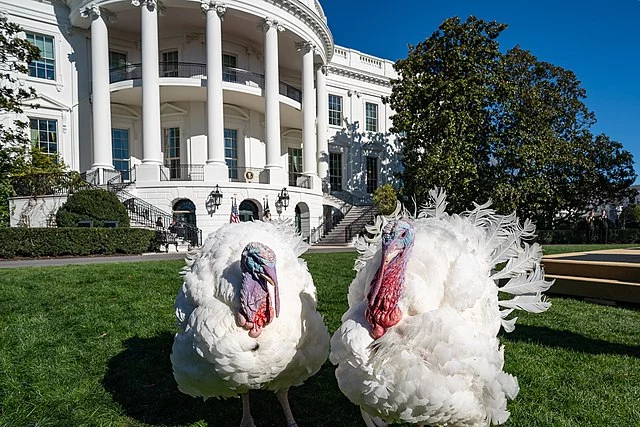 Официальный сайт президента США www.whitehouse.gov (Lawrence Jackson) 
