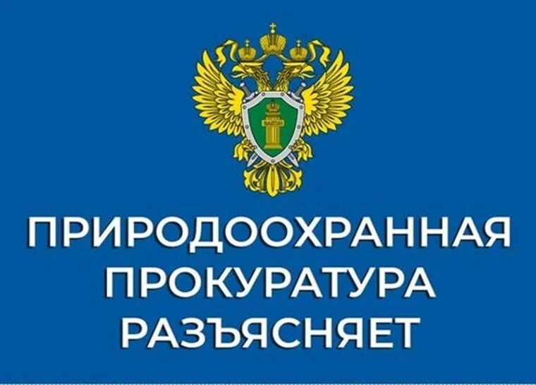 Саратовская межрайонная природоохранная прокуратура разъясняет изменения, внесенные в природоохранное законодательство для определения предельного объема затрат на реализацию проектов, направленных на ликвидацию несанкционированных свалок
