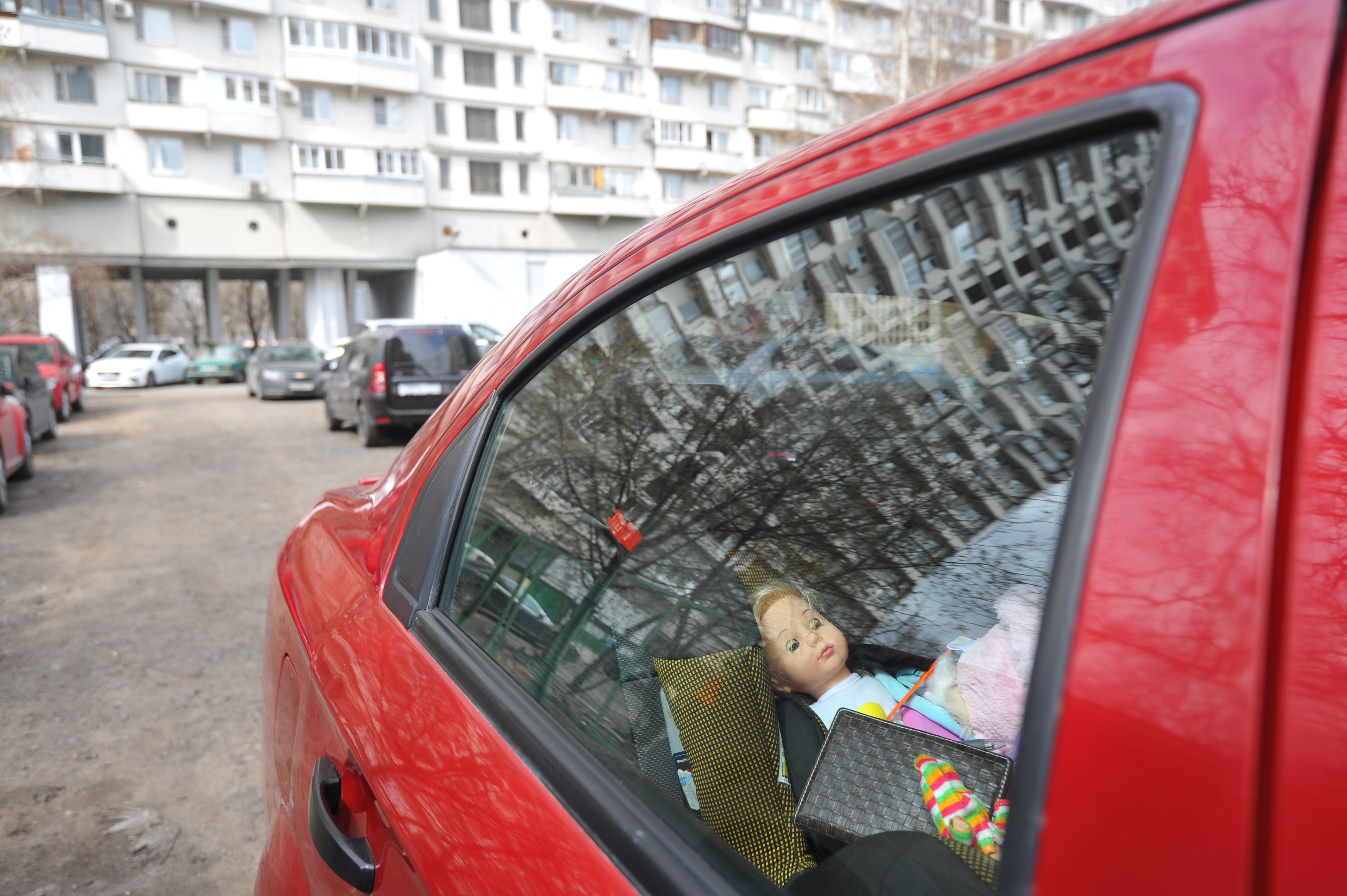 В ростове на дону поймали