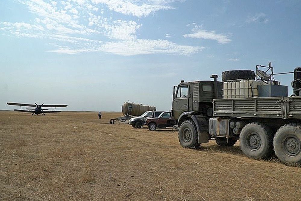 В Дагестане против саранчи обработано 21 тысяча гектаров