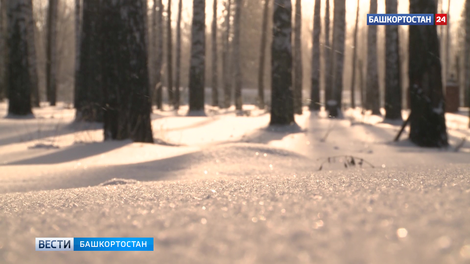 Когда в башкортостане потеплеет