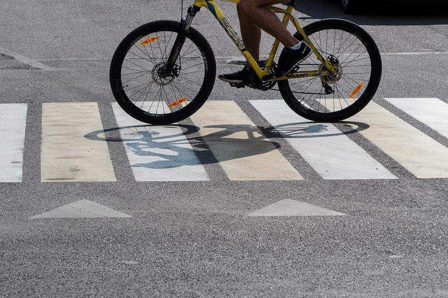 Велосипедист на зебре. Пешеходы ведущие велосипед. Картинка держать велосипед и переходить дорогу. Велосипедист и машина. Что значит спешиться на пешеходном переходе.