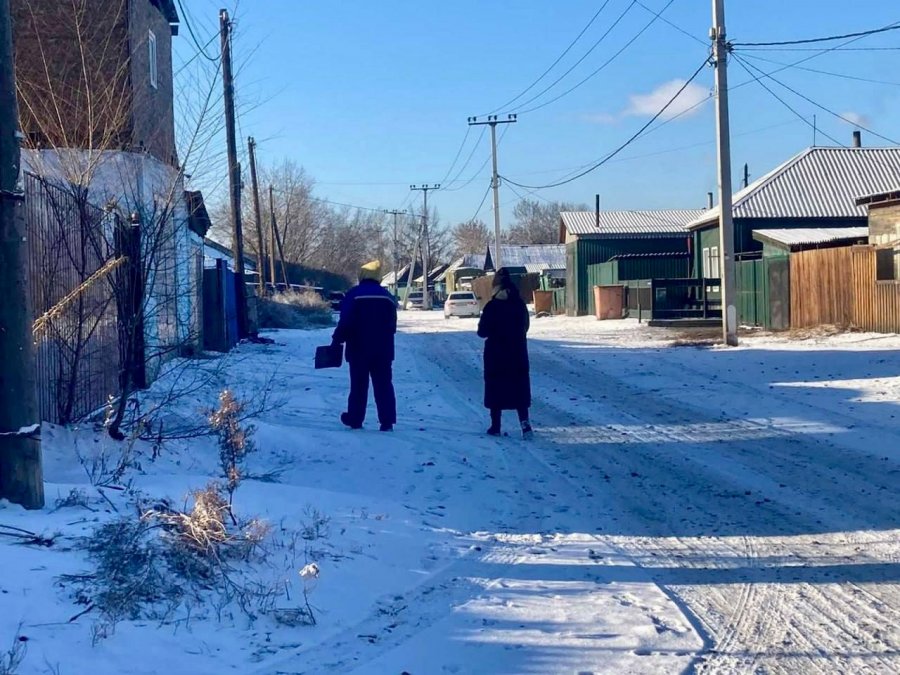 В Кызыле на хозяев собак, отпускающих питомцев на самовыгул, составлено 29 протоколов