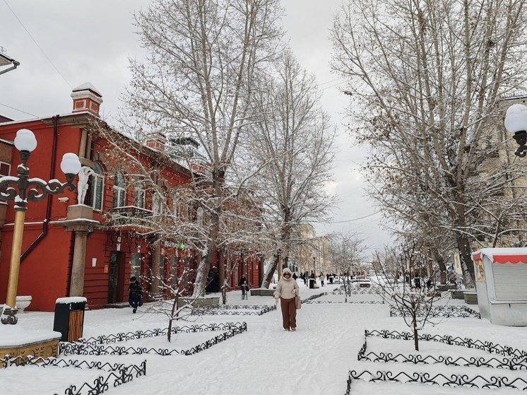 В Улан-Удэ из-за снега занятия в школах перевели на дистант