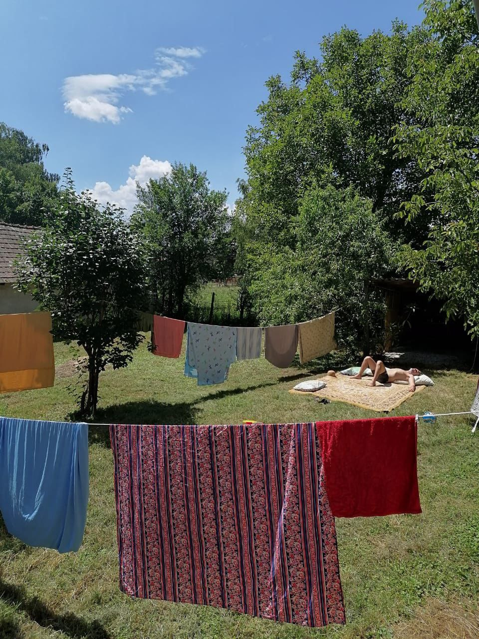 Олег Маслов. «Новые горизонты. Утраченные полотна Тимура Новикова»