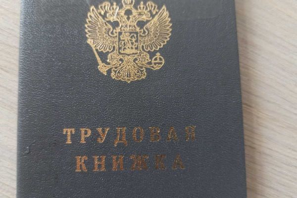 Что делать, если на лицевом счете отсутствуют несколько лет работы из-за того, что работодатель не передал эти сведения в СФР?
