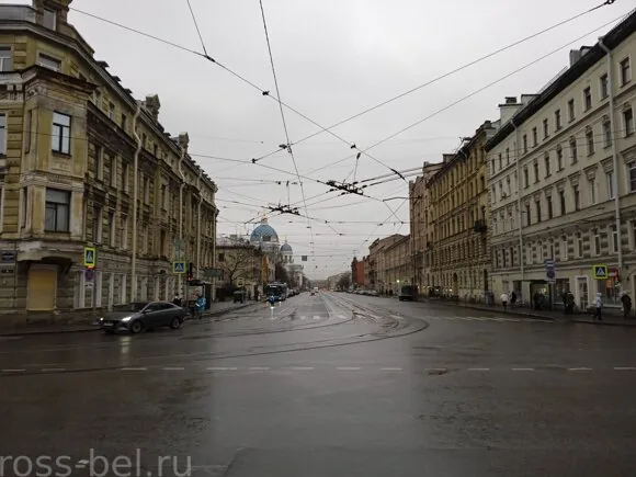 Балтийский форум (116)