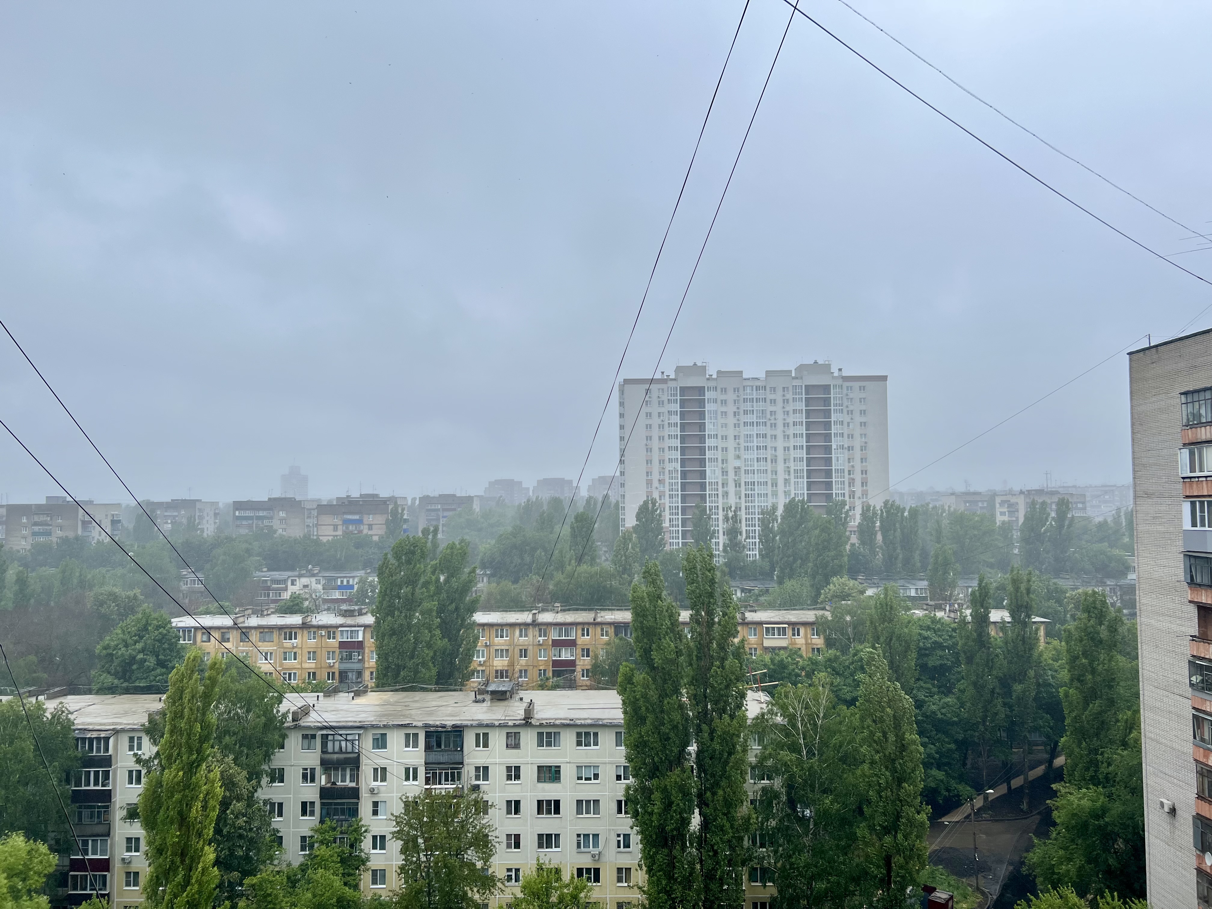 Небольшие дожди и до +8 обещают в Липецкой области в понедельник