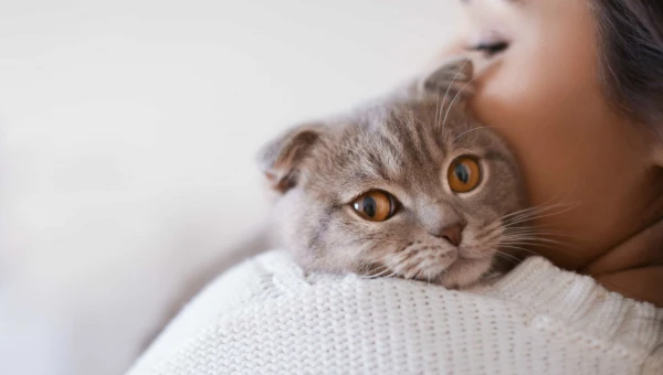 Контакт с кошками в раннем возрасте может увеличить риск развития шизофрении