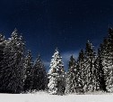 Мороз и метель: какой будет погода в районах Сахалинской области 26 января