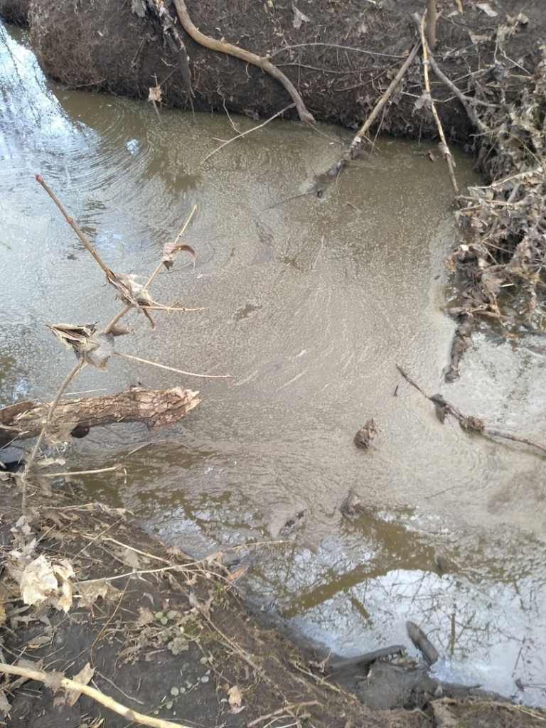 Загрязнённая река завод. Золотоносные реки кузбасса. Загрязненная река. Загрязненный ручей. Загрязненный ручей.