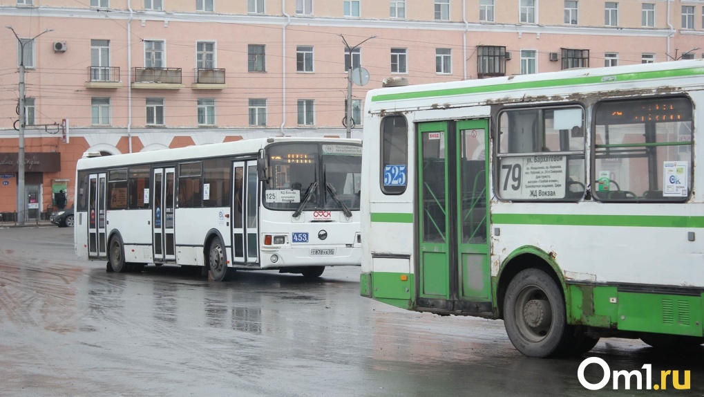 Маршрут 163 автобуса омск. Транспорт Омск. Общественный транспорт Омск. Автобус Омск 8. Маршрутка 163.