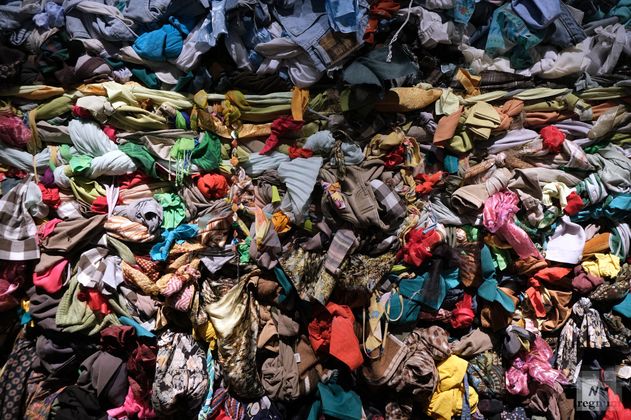 Варвара Гранкова. Из серии «Цветы и травы»