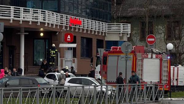 Фото: «Жесть Архангельской области»