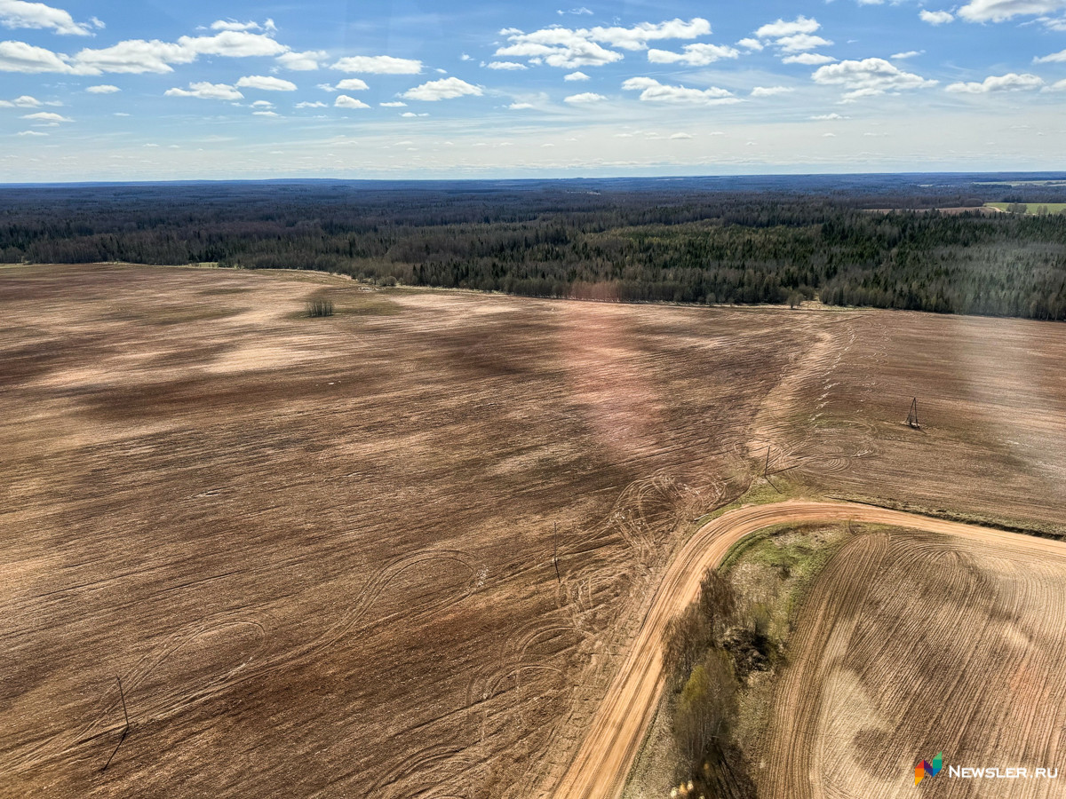 В Кировской области объявлен аукцион на разработку участка «Полевой»