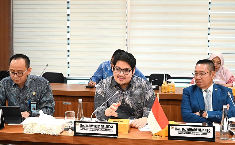 Сенаторы провели переговоры с Равиндрой Аирлангой и председателем Группы дружбы Совета народных представителей Индонезии с нижней палатой российского парламента Вихади Виджаянто