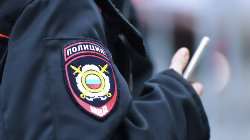 В Москве задержали подозреваемых в изнасиловании девушки предметом