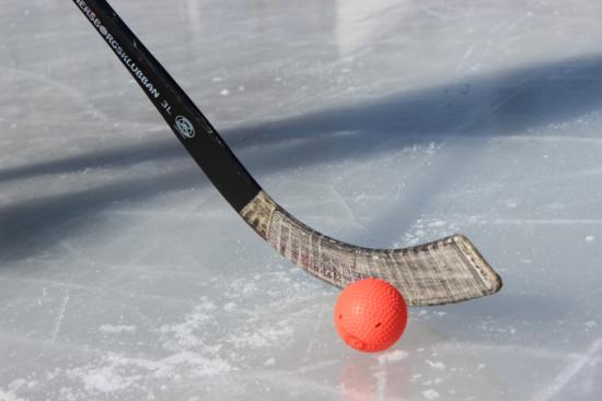 Чемпионат России по хоккею с мячом среди женских команд пройдет в Ледовом дворце «Байкал» в Иркутске