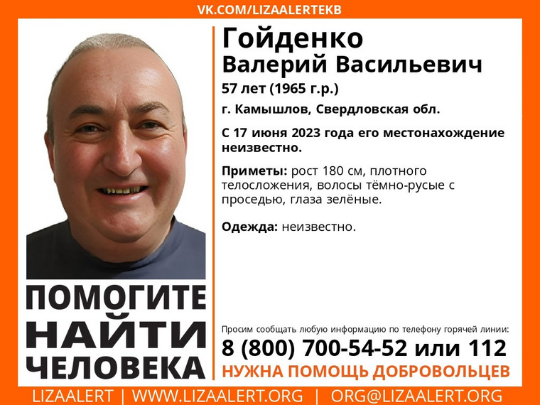 Проект лиза алерт