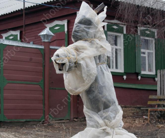 © Фотобанк СарБК