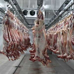 Валентин Коновалов высоко оценил «Хакасскую баранину»