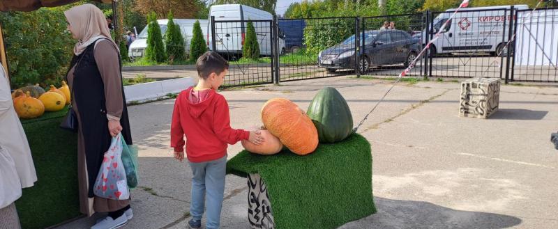 Фото: Kaluga-poisk.ru