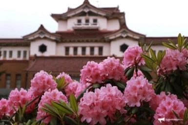 5682406.jpg?ce20f236d11ea209a696263066e1e20a