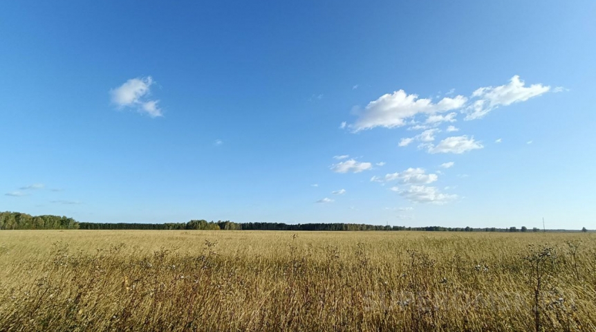 В Омской области во время ремонта в поле погиб тракторист