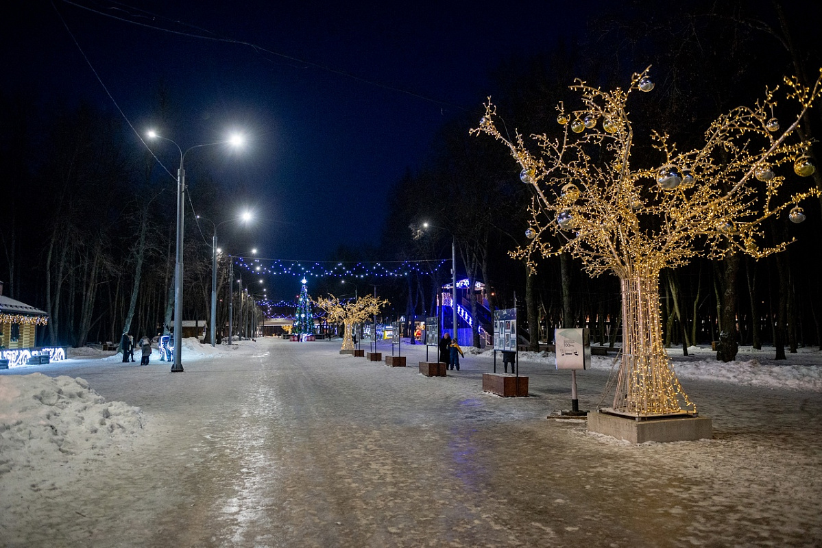 Лесопарк рязань фото сейчас