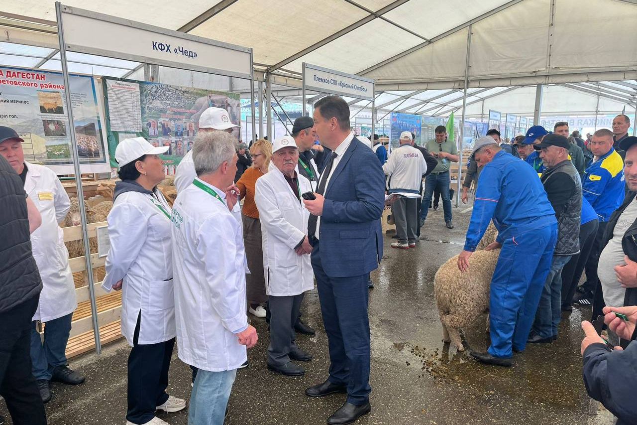Донские овцеводы завоевали 19 медалей и спецприз на Российской выставке племенных овец и коз