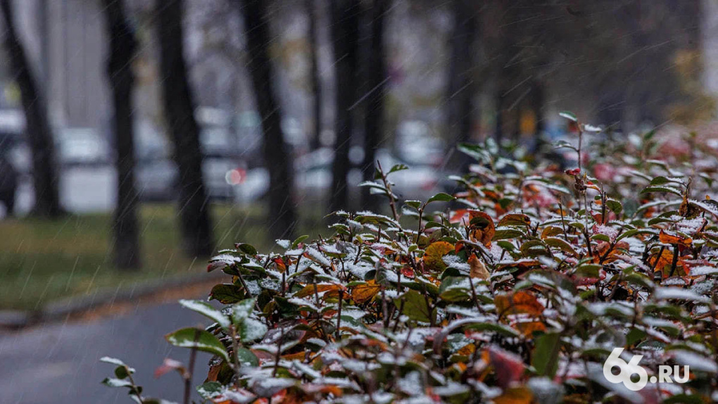 В Екатеринбург придет похолодание и мокрый снег