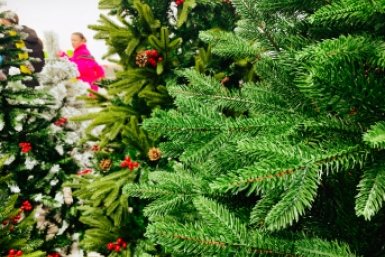 5845251.jpg?d142d7d813a51552c67fda13720c21cd