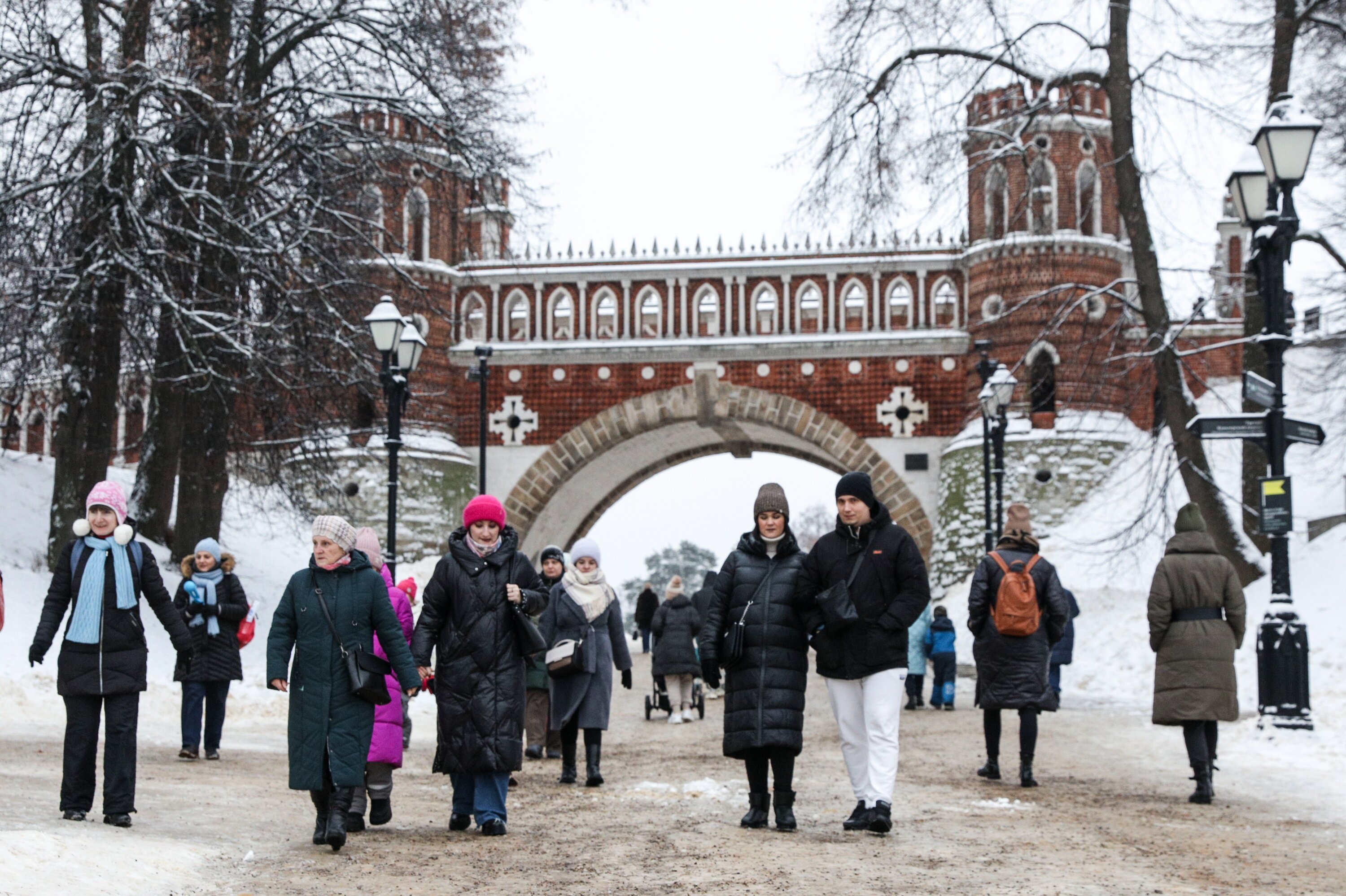 парк царицыно в москве зимой