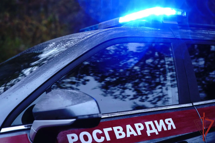 В Москве росгвардейцы задержали мужчину, находившегося в федеральном розыске (видео)