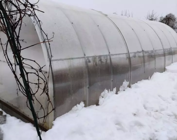 Нужно ли кидать снег в теплицу. Теплица в снегу. Теплица снежок. Защита теплицы от снега. Теплица под сугробом.