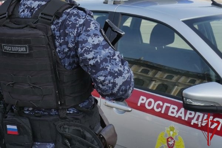 На Васильевском острове наряд Росгвардии задержал гражданина, нарушавшего общественный порядок на концертной площадке