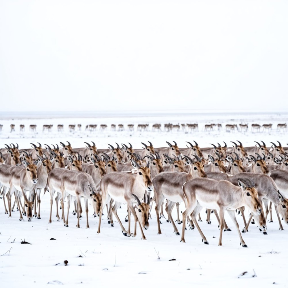 изображение сгенерировано нейросетью