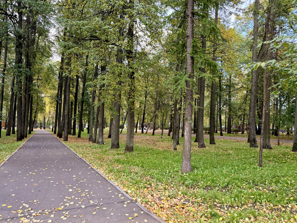 Александровский сад