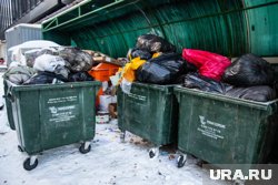 У жителей дома не осталось своих мусорных площадок (архивное фото)