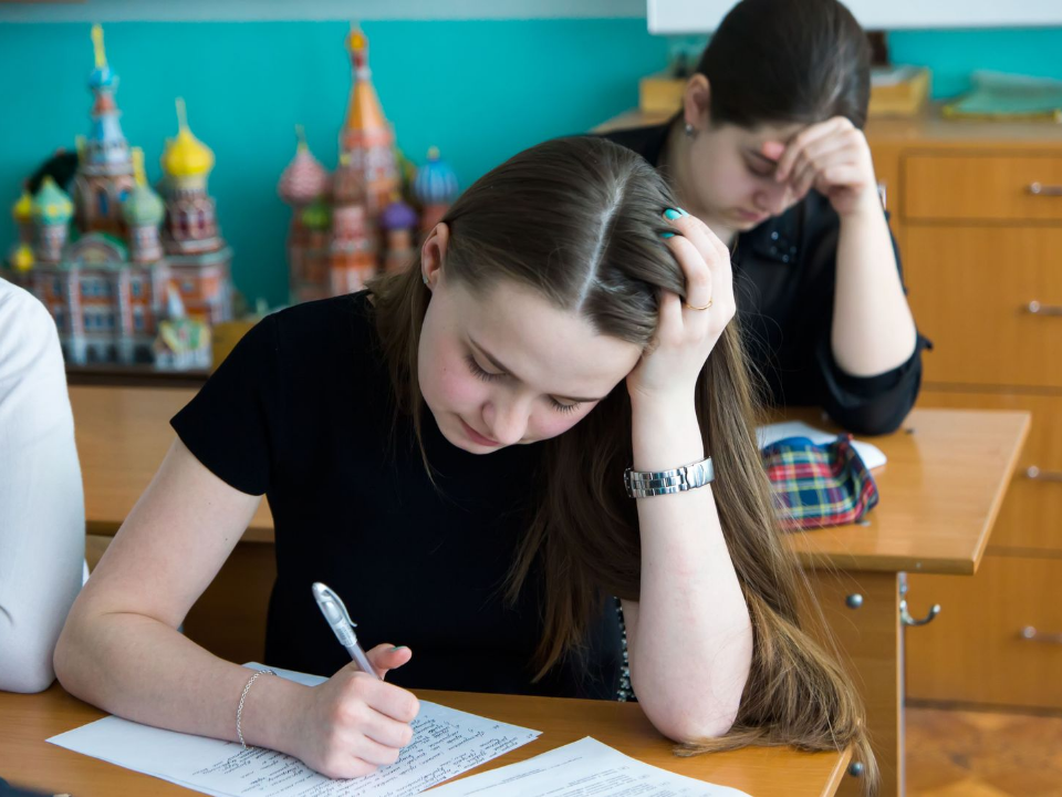 Красногорские выпускники сдали ЕГЭ лучше, чем в прошлом году