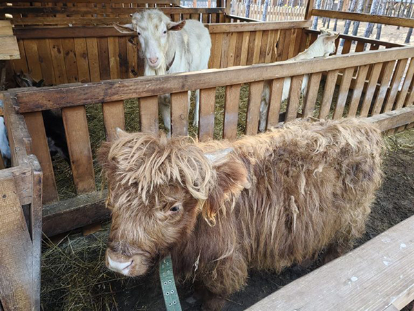 Фото: Уральское межрегиональное управление Россельхознадзора